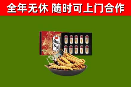 云冈区烟酒回收冬虫夏草礼盒.jpg